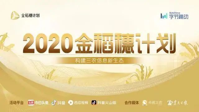 抖音做三农选择什么领域_抖音三农里包括哪些_抖音三农怎么赚钱